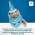 Cat Birthday Boy Party Pack, Bandana, Star Spangled Blue Party Hat, Catnip Birthday Cake Toy