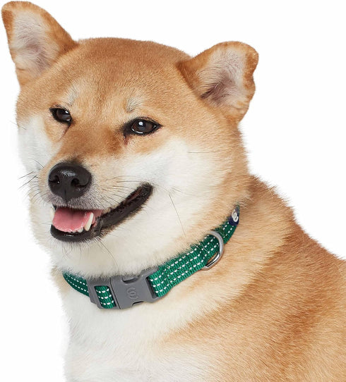 Blueberry Pet Essentials Matching Large Dog Collar, Adjustable Classic Solid Color Nylon Reflective Dark Green Collar