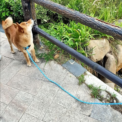 Anti-Choke Long Training Lead - 12FT / 20FT, 3/8" Thick Slip Lead Rope Leash for Medium Large Dogs with Comfortable
