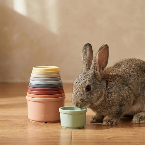 Fancypost 8 Pcs Stacking Cups for Rabbits, Bunny Nesting Toys for Small Animals - Multi-Color Plastic Cups for Hamsters