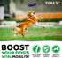 240 Glucosamine for Dogs - Chews - Hip and Joint Supplement for Dogs - Advanced Glucosamine Chondroitin Treats with MSM