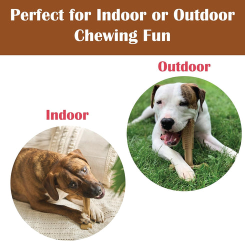 SPOT Bam-Bones Plus T-Bone Dog Chew, Bamboo Fiber & Nylon, Durable for Aggressive Chewers, 6in