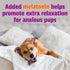 Pet Naturals BusyButter Extra Strength Calming Peanut Butter with Melatonin for Dogs - Great for Treats and Training