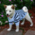 Pet Dog Striped T-Shirt Cotton Vest for Dogs and Cats, Spring Summer Tee Shirt for Small Medium Large Pets, French