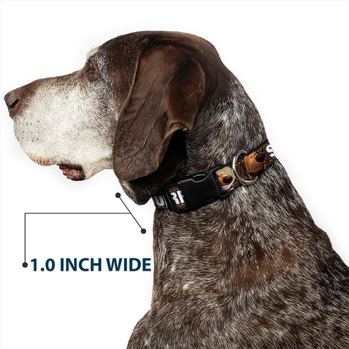 Buckle-Down Plastic Clip Collar - Dug 3-Poses/SQUIRREL! Brown/Yellow/White, 1" Wide, Fits 11-17" Neck, Medium