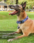 Hotsky Tactical Dog Collar, Adjustable Military Nylon Airtag Collar with Handle and Heavy Duty Metal Buckle for Medium