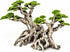 Novelsite Fish Tank Decor - Bonsai Trees with Faux Moss, Aquarium Rocks Aquascaping, Sandstone Goldfish Betta Hides