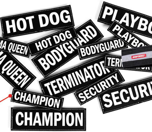 EzyDog Side Badge - Clearly Identifies Your Dog with Convert Dog Harness - Set of Two Badges (Rescue Dog, Small)