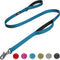 Fida 4 FT Heavy Duty Dog Leash with 2 Padded Handles, Traffic Handle & Easy Snap Hook, Reflective Walking Lead