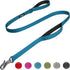 Fida 4 FT Heavy Duty Dog Leash with 2 Padded Handles, Traffic Handle & Easy Snap Hook, Reflective Walking Lead