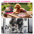 Trimming High-Suction Dog Grooming Vacuum for Small & Medium Dogs, Compact Hair Collection System for Regular