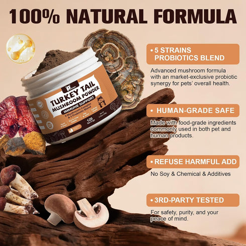Immune 2 Pack Mushroom Supplement with Probiotics for Dogs & Cats, Turkey Tail Mushroom for Pets - Mushroom Powder