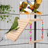 Kyouki Parrotlets,Finch,Canaries Bird Perch Platform Bird Toys with Bird Mirror Climbing Ladder Swing, Parakeet Cage