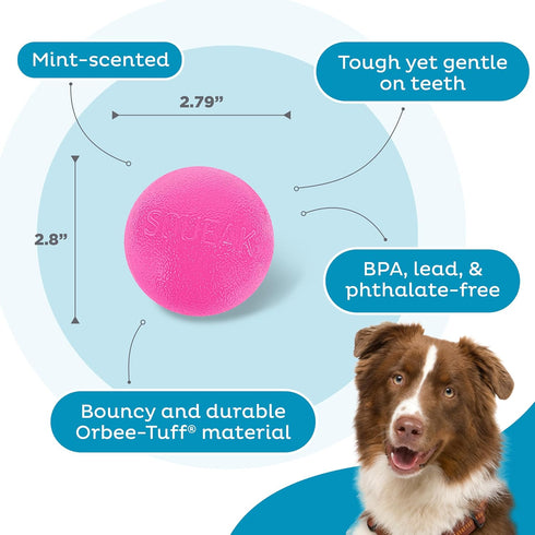 Outward Hound Orbee-Tuff Squeak Ball - Pink Dog Fetch Toy