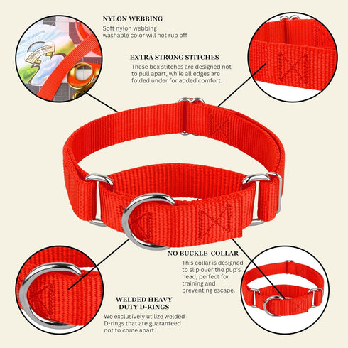 Country Brook Petz Martingale Dog Collar - Heavy-Duty No Buckle Training Collar for All Pups, Hot Orange, 1 Inch, Medium