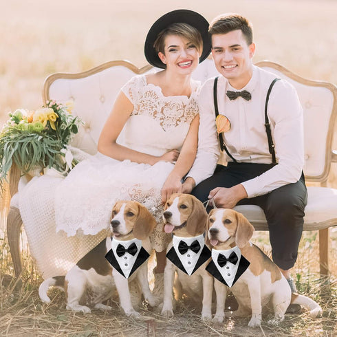 ADOGGYGO Formal Dog Tuxedo Wedding Dog Bandana Collar Dog Collar with Bow Tie Adjustable Dog Bowtie Collar Bandana for Small Medium Large Dog Pet (Small, Black&White)