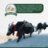 Authentic Himalayan Yak Cheese for Dogs - Small (Pack of 10) - Rawhide-Free, NO preservatives, Sourced from Pristine