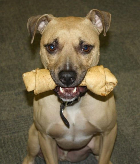 Healthy Beefhide Rawhide Dog Bones, Flavored Chews for Medium Dogs under 55 LBS by RawHideMarket