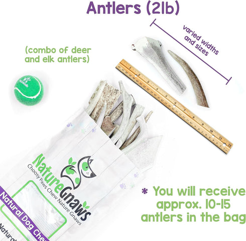 Nature Gnaws Antlers for Dogs (1Lb) - Mix of Elk and Deer Antler - Variety of Split and Whole Pieces for Aggressive