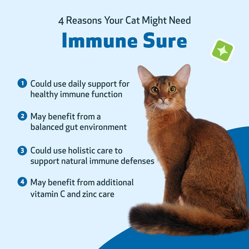Pet Wellbeing Immune Sure for Cats - Herbal Supplement 2 fl oz - Supports Immune Defenses & Gut Flora