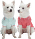 Blueberry Pet Back to School 2-Pack Dog Polo Shirts in Mint Blue + Terra Cotta Red, Back Length 10 inch