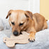 SPOT 8in Dura-Fused Leather Squirrel Dog Toy Real Leather & Jute Fabric, Double-Stitched & Durable, Soft Stuffed