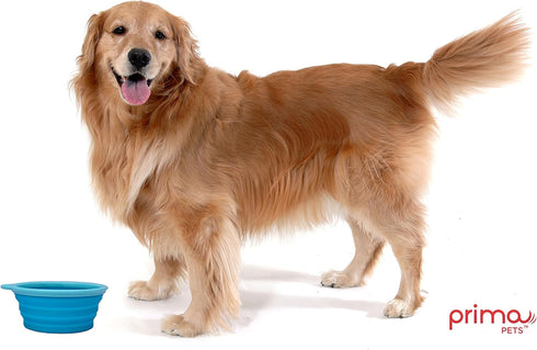 Prima Pet Expandable Collapsible Silicone Food & Water Travel Bowl for Medium & Large Dog, 5 Cups