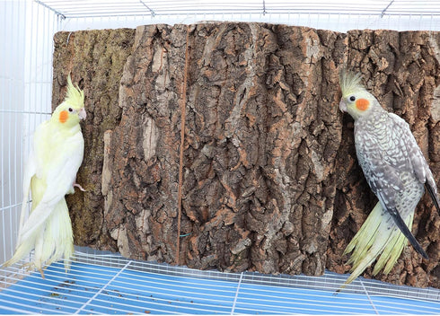 2 Pack 12 8 Inch 100% x Natural Cork Perch, Bird Cork Seat Boards, Birdcage Bark Decor Accessories for Birds Parakeets