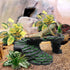 Reptile Artificial Plants, Terrarium Decorations Supplies, Aquarium Fish Tank Plant, Amphibian Habitat Accessories (M