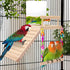 Kyouki Parrotlets,Finch,Canaries Bird Perch Platform Bird Toys with Bird Mirror Climbing Ladder Swing, Parakeet Cage