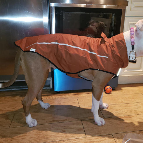 Mile High Life Adjustable Waterproof Dog Raincoat, Lightweight Breathable Jacket for Small Medium Large Dogs