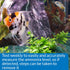 API AMMONIA 130-Test Freshwater and Saltwater Aquarium Water Test Kit