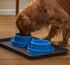 PetLike Dog Bowls Pet Food Bowls, No Spill Cat Food Bowl Water Food Feeder Pet Dishes for Cat Puppies Small Medium Dogs