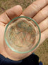 (250000+Egg) 3 64% A.D.P. UTH Fish Food Fresh Eggs Fairy Shrimp g. Best Tropical Fish Food Grow Faster & Color Enhancer