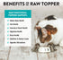 5 Oz (Pack 2) Northwest Naturals Freeze-Dried Chicken Breast with Green Lipped Mussels - Functional Topper - for Dogs