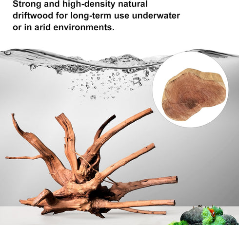 majoywoo Natural Driftwood for Aquarium Decor, 5 Pcs Assorted Spider Wood Branch 4-8"