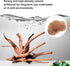 majoywoo Natural Driftwood for Aquarium Decor, 5 Pcs Assorted Spider Wood Branch 4-8"