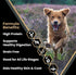 Victor Super Premium Dog Food – Grain Free Ultra Pro Dry Dog Food – High Protein for Active Dogs, 5 lb