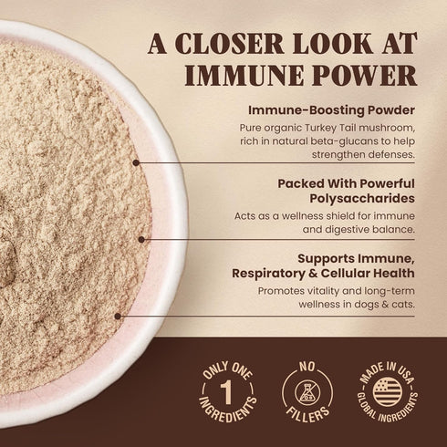 Immune 60 Organic Turkey Tail Mushroom for Dogs and Cats, Support with Beta Glucans and Polysaccharides, Digestive