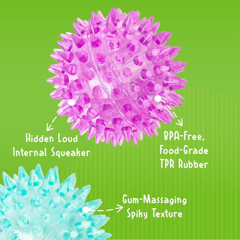 Gnawsome 2.5 100% Dog Toys - Spiky Squeaker Ball - Small - Dental & Gum Wellness - Stimulating Fun - Hidden Squeaker