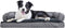 Furhaven Pillow Dog Bed for Large/Medium Dogs, Washable Cover & Removable Bolsters, Comfy Couch Sofa - Diamond Gray,