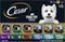 CESAR Adult Wet Dog Food Classic Loaf in Sauce, Poultry Lovers Variety Pack, 3.5 oz. Easy Peel Trays, Pack of 36
