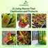 10 Outsidepride Venus Flytrap Seeds - Pcs Perennial, Unique & Carnivorous, Indoor Plant Seeds for House Plants, Easy