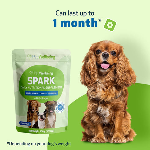 Pet Wellbeing Spark Daily Nutritional Greens Superfood for Dogs & Cats - Probiotics, Digestive Enzymes, 3.53 oz