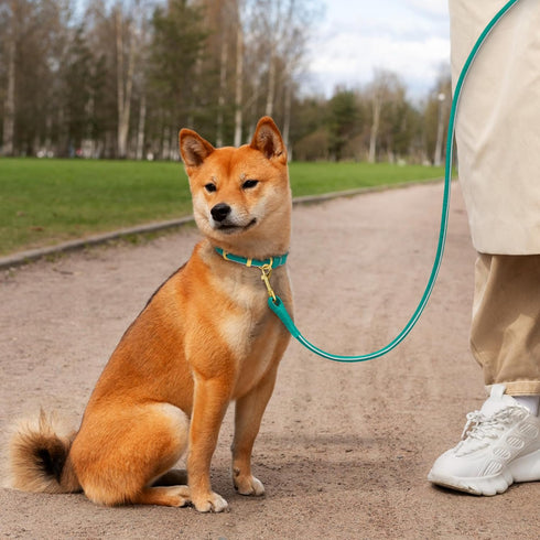 OOOPSDOGGY 6ft Reflective Rolled Leather Dog Leash - Soft Lead for Small Medium Large Dogs, Heavy Duty Rope (Teal,