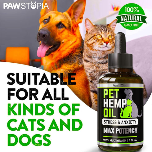 (2 Pack) Hemp Oil for Dogs and Cats - Helps with Anxiety, Pain, Stress, Sleep, Arthritis, Seizures Relief - Omega 3-6-9