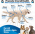 Omega 3 Fish Oil for Dogs - Salmon Oil for Dogs - Dog Fish Oil Supplement May Help Shedding, Allergy, Itch Relief - Supports Dry Skin, Joints - Dog Skin and Coat Supplement - 90 Fish Oil Pills EPA DHA