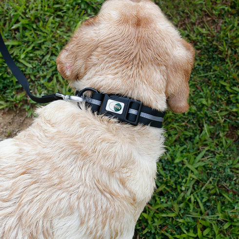 NIMBLE Waterproof Dog Collar, Durable Adjustable Pet Collars with Reflective Cloth Stripe, S/M/L Sizes, Large, Black