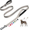 Fida 6 FT Heavy Duty Dog Leash, Grey with 2 Padded Handles, Traffic Handle & Easy Snap Hook for All Breeds