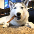 Pupford Thick Bully Sticks for Dogs & Puppies, Smoked, Natural, Long-Lasting, 6", 10 Count